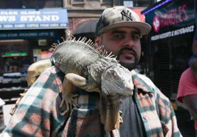 Slopers in ‘Seventh Heaven’! Annual street fair hits Seventh Avenue
