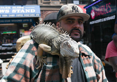 Slopers in ‘Seventh Heaven’! Annual street fair hits Seventh Avenue