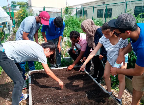 Can you dig it? High schoolers spend summer on a farm