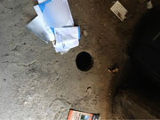 Squeak thief! Rodent stole woman’s mail for two months, exterminator says