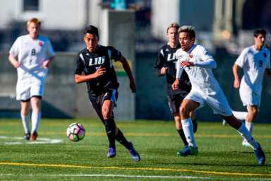 Oh captain: Blackbirds standout ready for leadership role