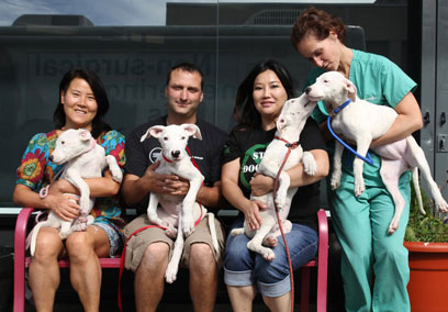An appetite for animal rights: Kensington shelter rescues South Korean canines destined to become cuisine