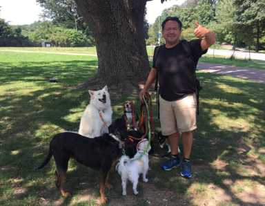 Sharing the pavement: Cars return to Prospect Park’s East Drive as summer-long ban ends
