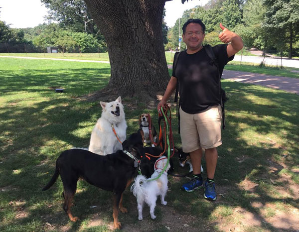 Sharing the pavement: Cars return to Prospect Park’s East Drive as summer-long ban ends