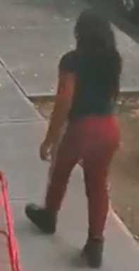 Police looking for pair of women who allegedly burgled W’burg residential building