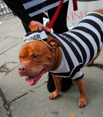 Five things to do in Brooklyn this week!