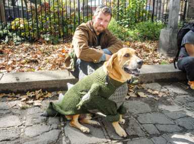 Five things to do in Brooklyn this week!