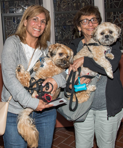 Ridge Rovers redeemed at pet blessing