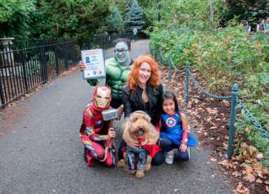 Barktober! Dogs of Bay Ridge get into character at annual Canine Costume Contest