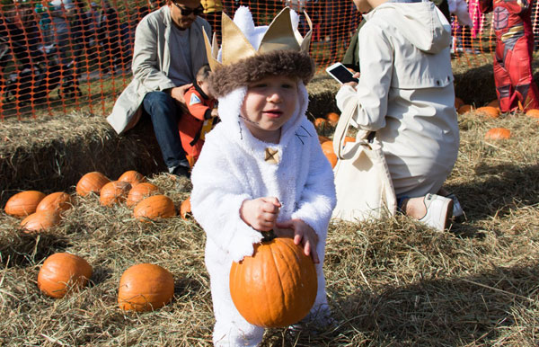 A spirited menagerie: Ft. Greene Park Halloween fest draws unicorns, bumble bees, and other creatures