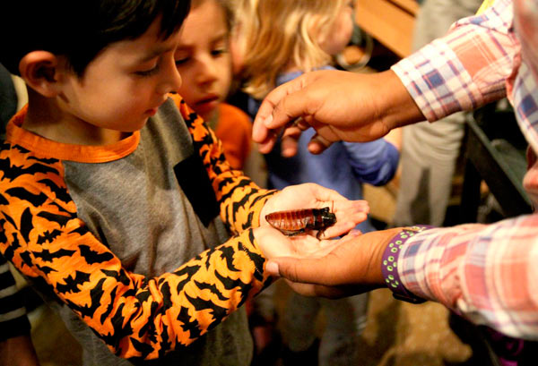 Bugging out: Museum staff digs up creepiest of crawlers for pre-Halloween kids’ fest