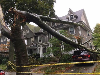 Leaving its bark: Huge tree smashes into Ditmas Park house, onto parked car