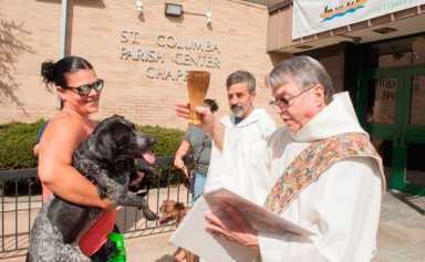 Pooches get blessed at Marine Park church
