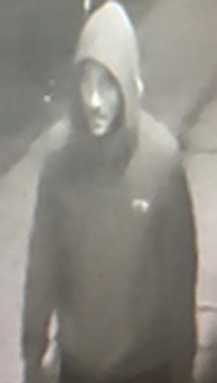 Police hunting for arsonist who lit school buses on fire