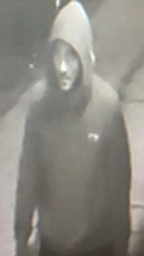 Police hunting for arsonist who lit school buses on fire