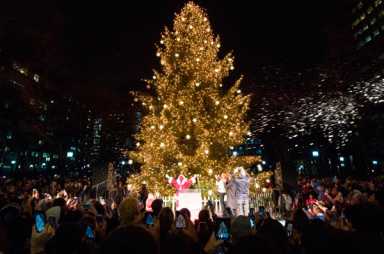 Five things to do in Brooklyn this week!