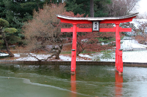 Grey garden: Brooklyn Botanic offers free admission all winter