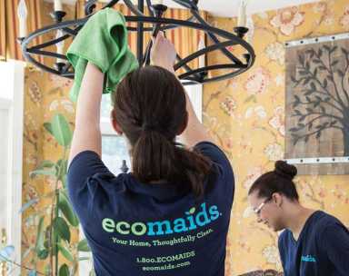 Get a green clean with ecomaids