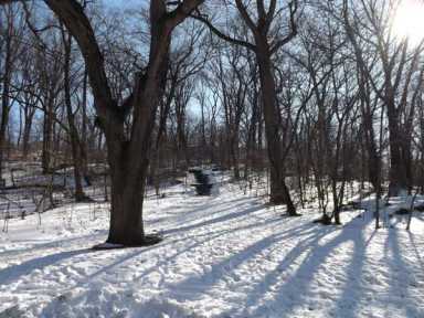 Police name rapist in 1994 Prospect Park assault once widely discredited by Daily News columnist