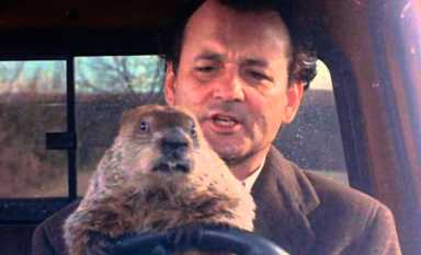 Five things to do in Brooklyn this week!