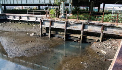 Scat-urated! Locals fear more sewage dumping in Coney creek