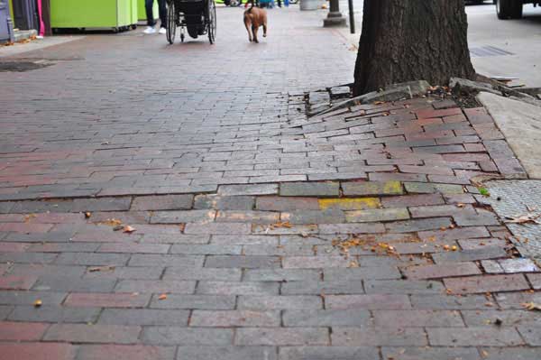Can’t foot it: Transit leader’s plan to repave troublesome Terrace sidewalk too costly, city says