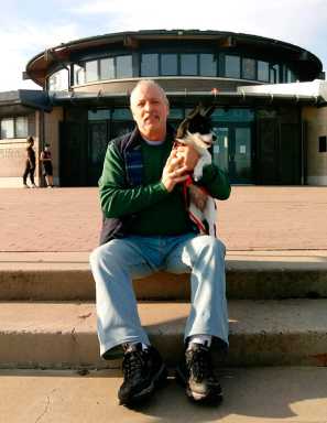 Dog whistle: City hasn’t heard calls for dog run in Marine Park