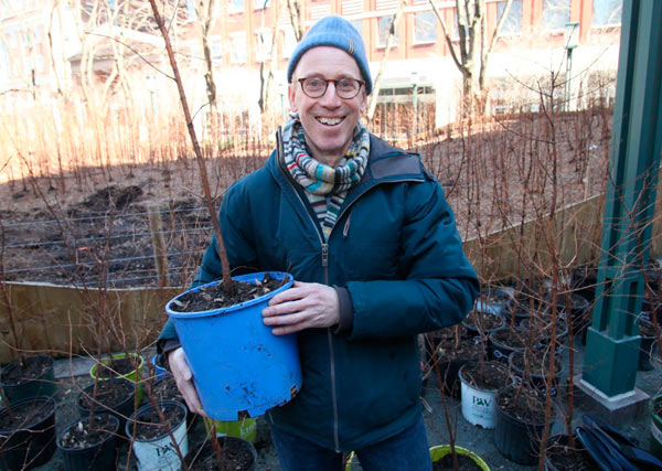 Green-thing giveaway: Artist sends passersby home with saplings after uprooting D’town redwood exhibit