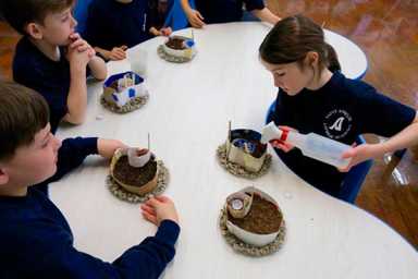 How does your garden grow?