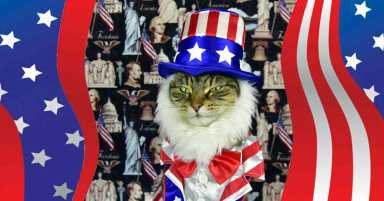 Five things to do in Brooklyn this week!