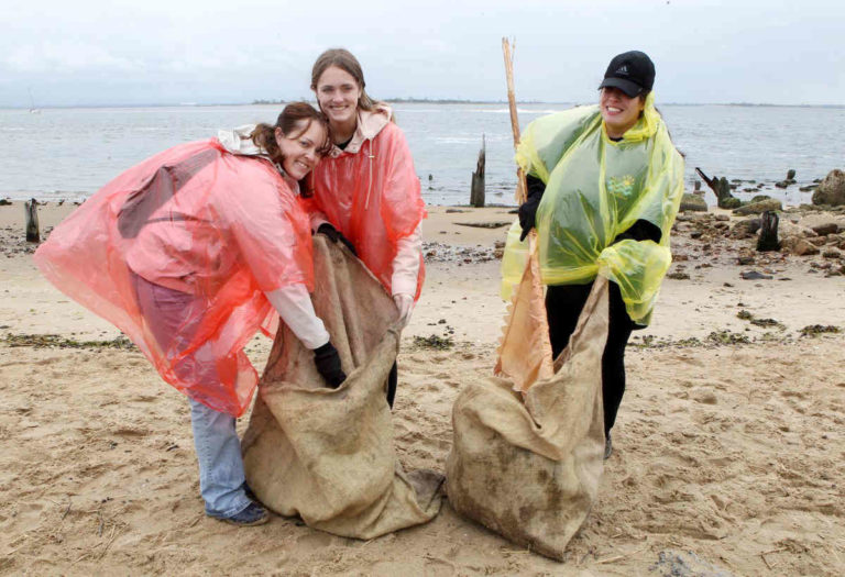 Beach clean up activities image