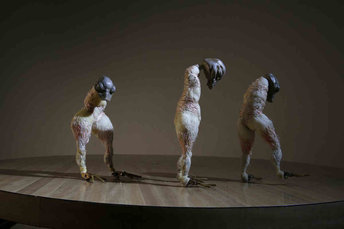 Watching her step: Animator makes a moving art exhibit