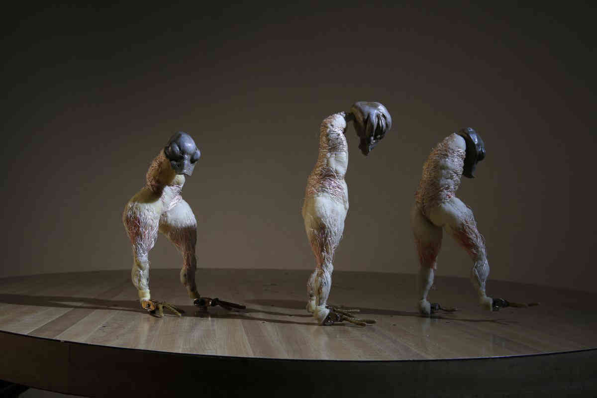 Watching her step: Animator makes a moving art exhibit