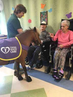 ‘Neigh kidding’ at rehab center