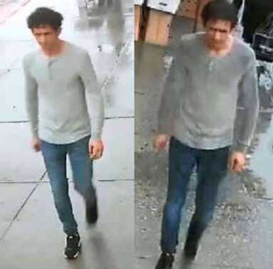 Police searching for purse-snatcher in Brighton Beach