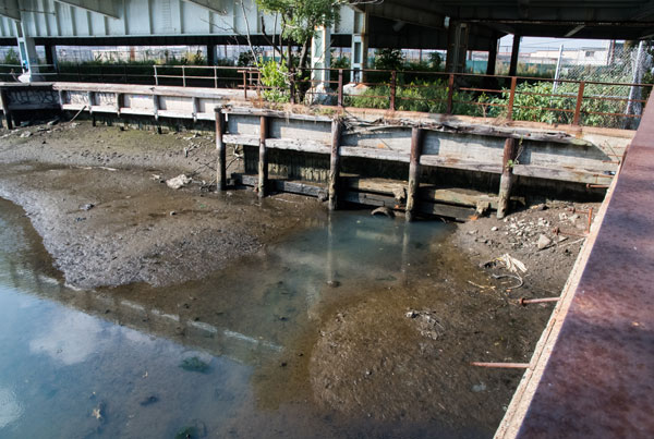 Making a federal case: Jeffries vows to fight for EPA Superfund status for Coney Island Creek
