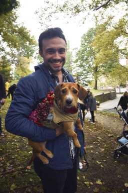 Doggone adorable: Costumed canines parade in Ft. Greene Park