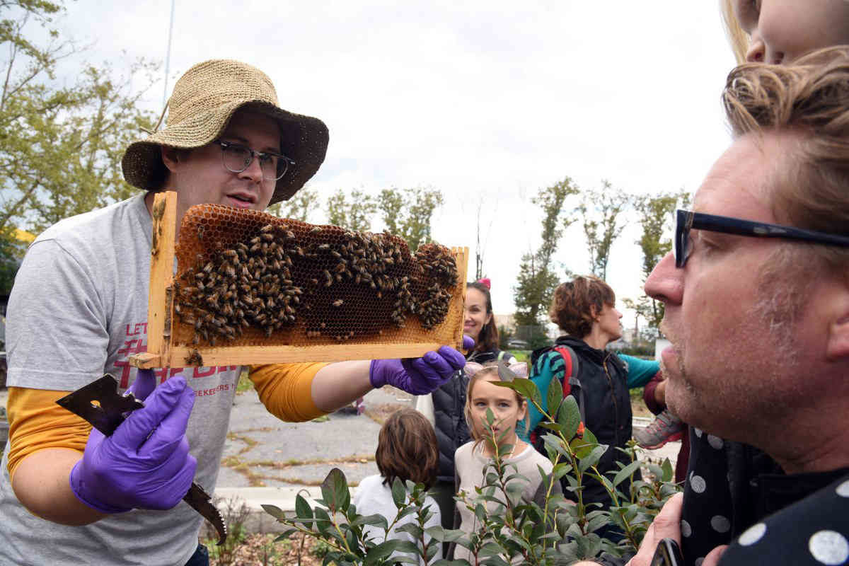 Playing in the dirt: Locals celebrate boro’s bounty at Red Hook farm’s harvest fest