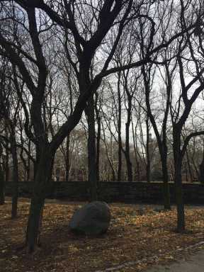 Little guys win big: City must give locals complete report related to Ft. Greene Park’s redesign, judge rules