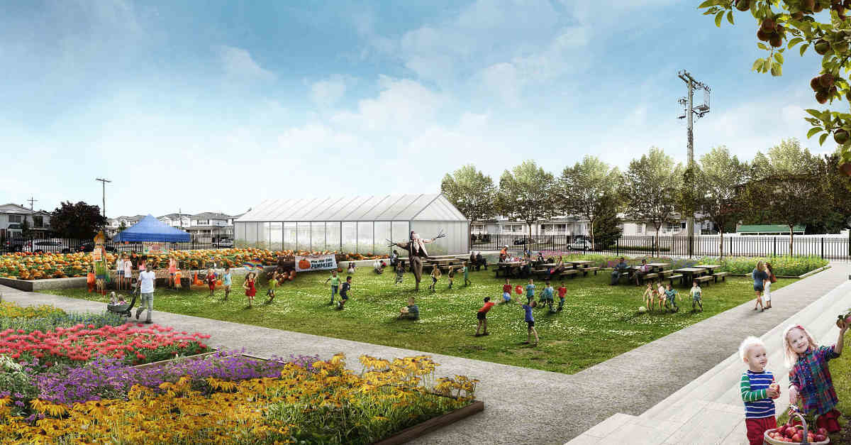 Green dream: Pol proposes planting a community farm in Bergen Beach