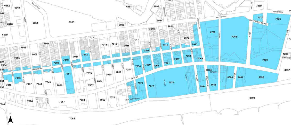 Cashing in on Coney: Local group moves forward with plan to bring business-boosting ‘bid’ to nabe