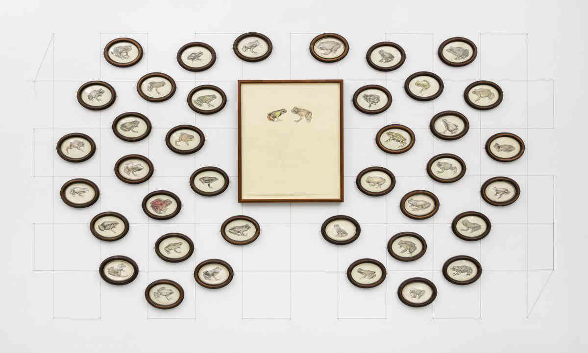 Science flair: New gallery combines art with biology