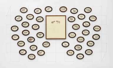 Science flair: New gallery combines art with biology