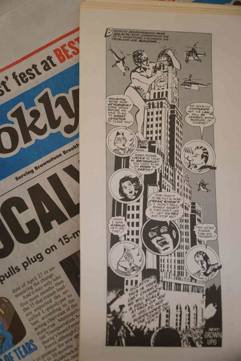 Marine Park-bred illustrator who cut his teeth at Brooklyn Paper dead at 65