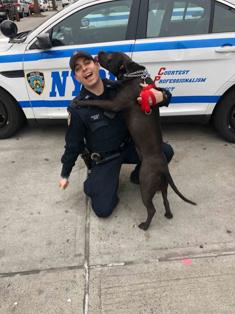 A pawfect union: Brooklyn cop adopts abandoned dog he rescued in Brownsville