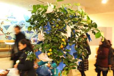 Branching out: Catholic kids offer comfort to Jewish neighbors