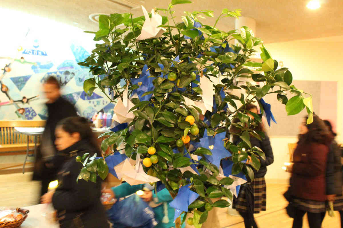 Branching out: Catholic kids offer comfort to Jewish neighbors
