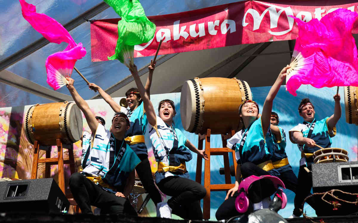 Cherry treat: Botanic Garden to host annual Japanese festival next weekend