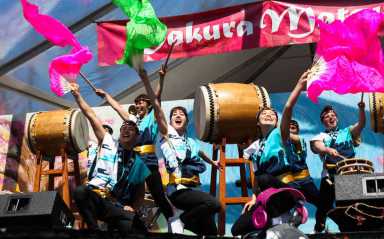 Cherry treat: Botanic Garden to host annual Japanese festival next weekend