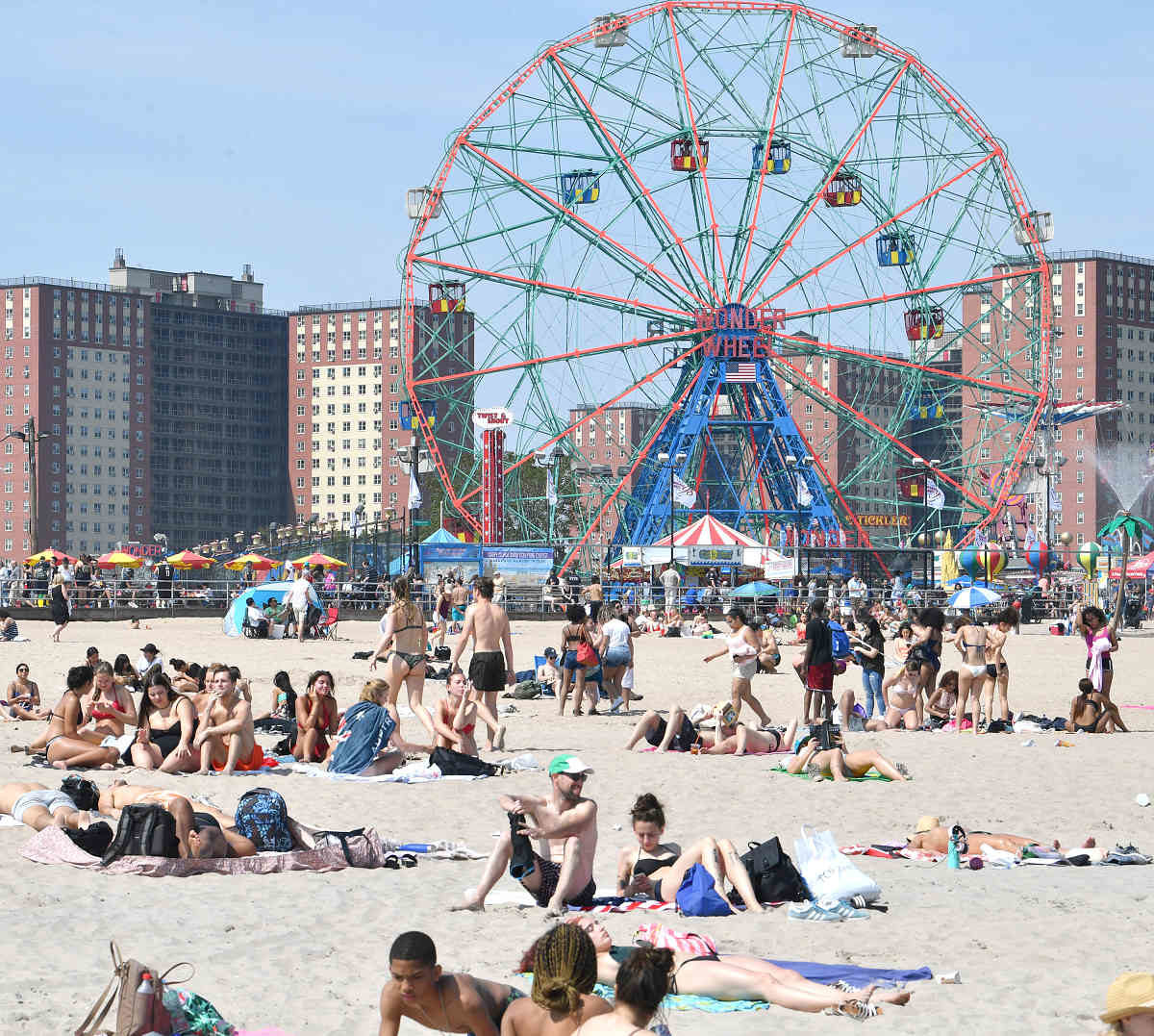 Five things to do in Brooklyn this week!